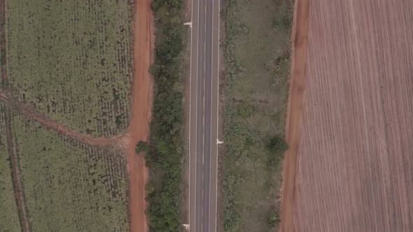 Road next to a crop field in South America filmed by a drone - vertical shot moving forwards