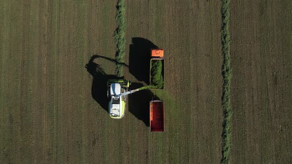 Combine harvester and trailer truck