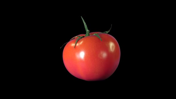 Tomato With Alpha