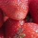 Ripe fresh strawberries close up.  Organic ripe strawberry. Concept of hygiene, diet and healthy - VideoHive Item for Sale
