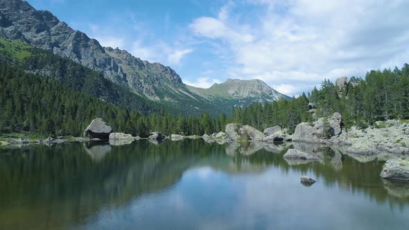 Moving Forward to Clear Blue Lake and Pine Woods Forest Mountain Valley in Summer