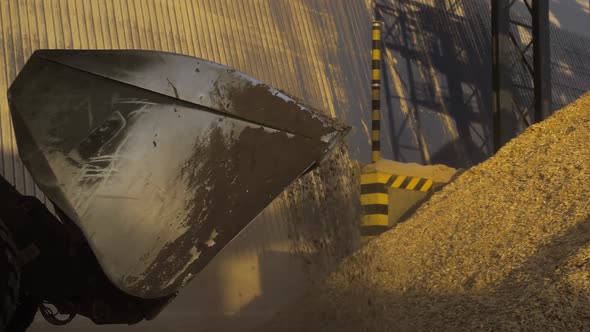 Tractor Transporting Sawdust Sifting to Boiler House