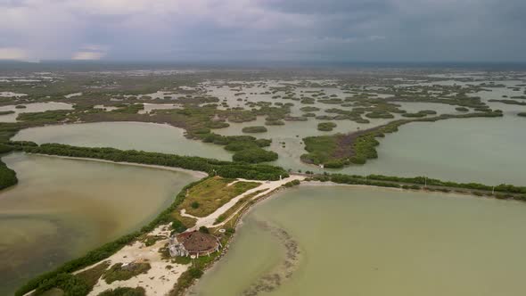 View of Mangrove near Merida in Mexico