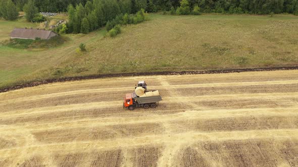 Helicopter View Agricultural Machinery Working in the Field Harvesting