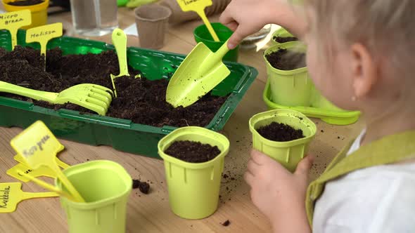 a Little Blonde Girl is Engaged in Planting Seeds for Seedlings Pouring Earth Into Pots for Growing