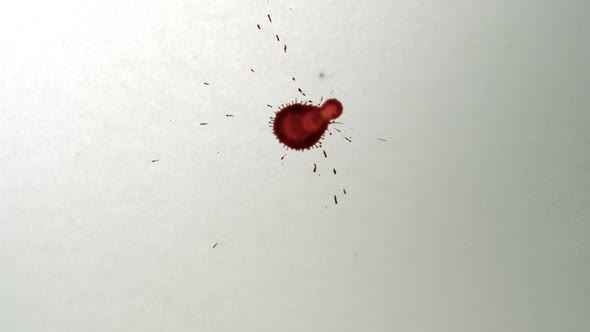 Red ink drops on white paper, Slow Motion