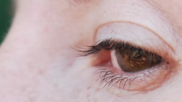 Female Brown Eye Looks Into the Camera Closeup