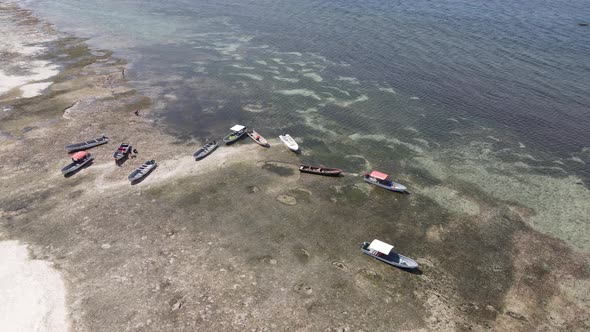 Low Tide in the Ocean Near the Coast of Zanzibar Island Tanzania