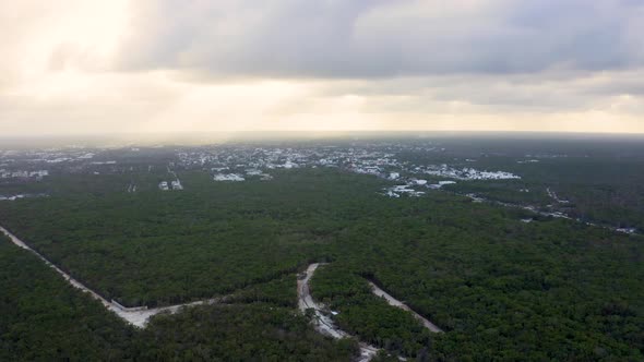 Aerial View of the Mexican Jungle From Above