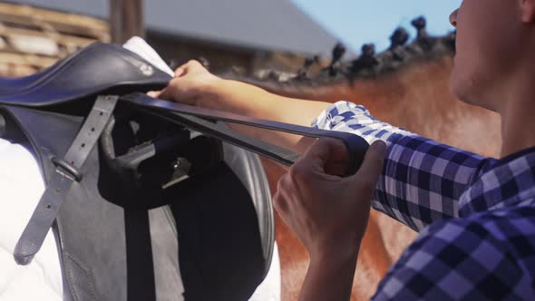 Woman Preparing And Saddling Up The Horse  Tying Up Leather Strap Of The Saddle