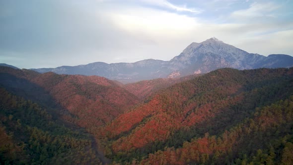 The drone view on the natural park among tracking path:"likya yolu" in South Turkey, Antalya