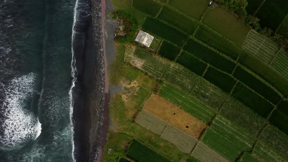 Static top down view on rice fields near ocean