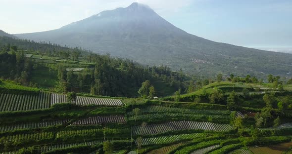 Merapi volcano with rural view of plantation that planted with brocolli, cabbage, potatoes and green