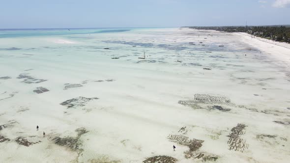 Zanzibar Tanzania  Aerial View of Low Tide in the Ocean Near the Coast