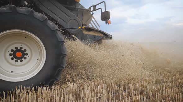 Detail View on Big Spinning Wheel of Combine Riding in Countryside. Harvester Gathering Crop of