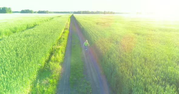 Aerial View on Young Boy, That Rides a Bicycle Thru a Wheat Grass Field on the Old Rural Road