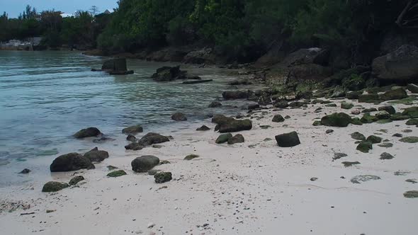 Shelly Bay Beach is one of the beaches located on the north shore coastline of Bermuda.