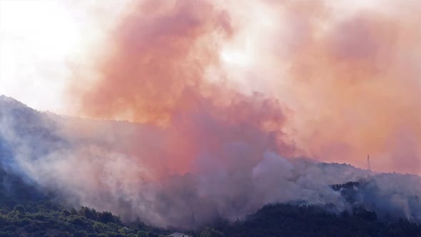 Forest Fire Near House