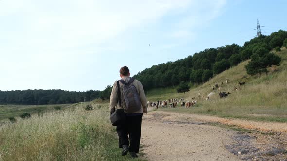 Young Man Walking Towardsa Flock Of Sheep And Goat