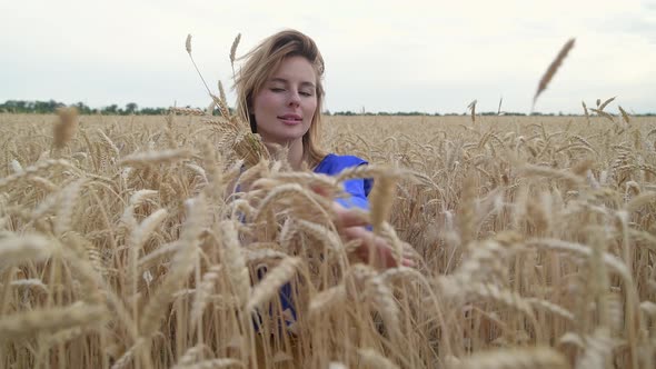 Beautiful Ukrainian Woman Wearing Dress in Ukrainian National Flag Colours Blue and Yellow at Wheat