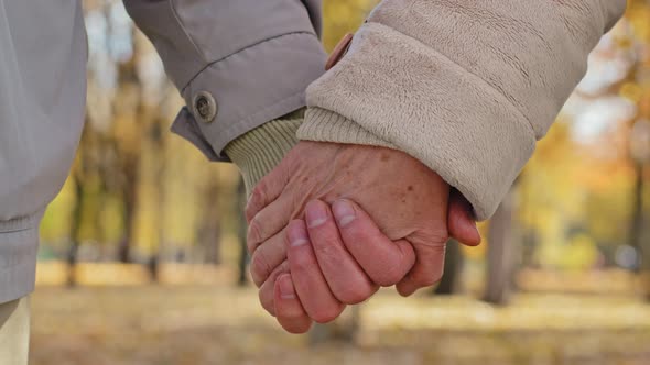 Closeup Wrinkled Hands Elderly Couple Aged Man and Woman Holding Arms in Autumn Park Strong Family