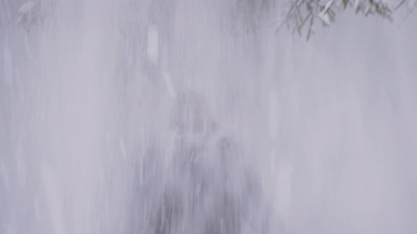 Medium Shot Lot of Snow Falling on Face Caucasian Man From Branches of Fir Tree