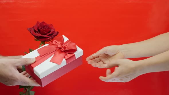 Hand is playing with gift box. Present box with red ribbon bow