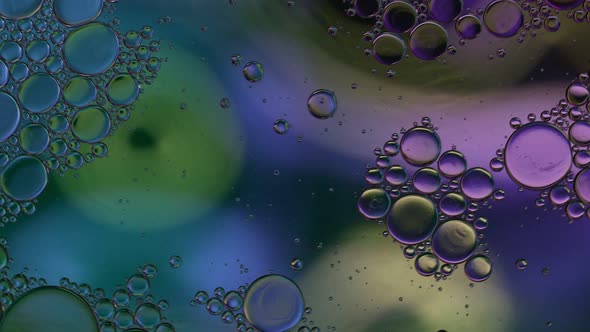 Abstract Colorful Food Oil Drops Bubbles 223 alt