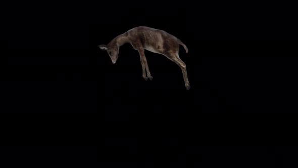 Black Deer Doe Jump View From Side alt