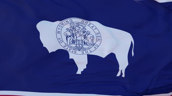 Flag of Wyoming State Region of the United States Waving at Wind