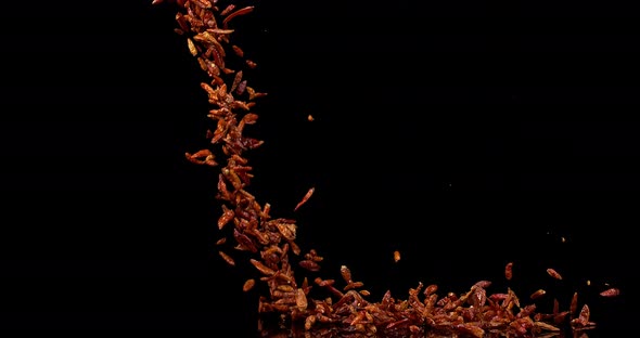 Cayenne Chili Pepper, capsicum frutescens, spice falling against Black Background, Slow Motion 4K