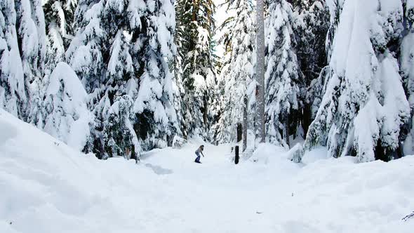 Woman snowboarding through forest 4k