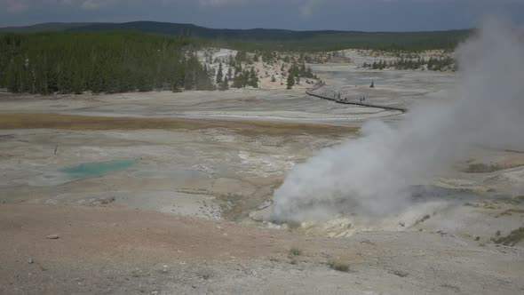 Fumarole in Park