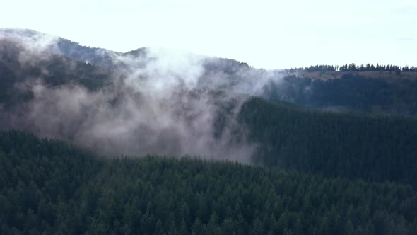 Expansive Aerial Drone Shot of the Tree Lined Romanian Mountains Covered in Moving Valley Fog.