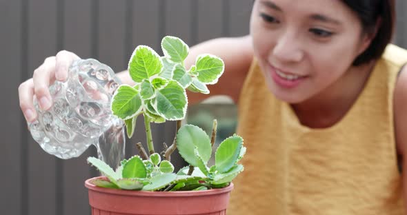 Woman watering plant 