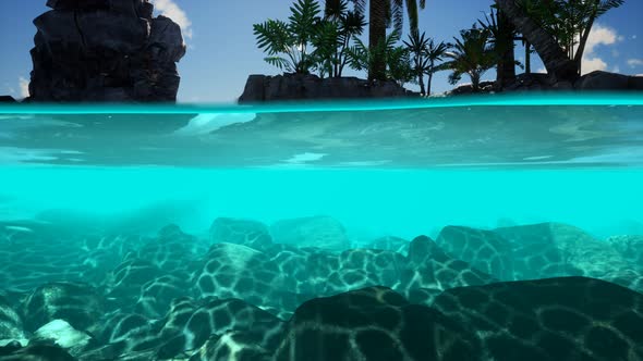 Split View Cross Section of Sea Water and Palm Trees on Island alt