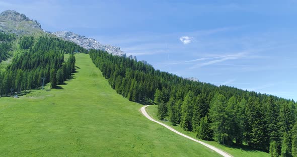 Moving Forward to Pine Woods Forest Along Green Ski Track in Mountain Summer