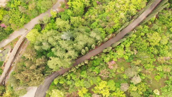 Tbilisi National Botanical Garden Flora Overhead View