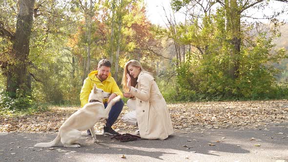 Young Married Couple Walks with Their Beloved White Dog in the Woods on an Autumn Day, They Give It