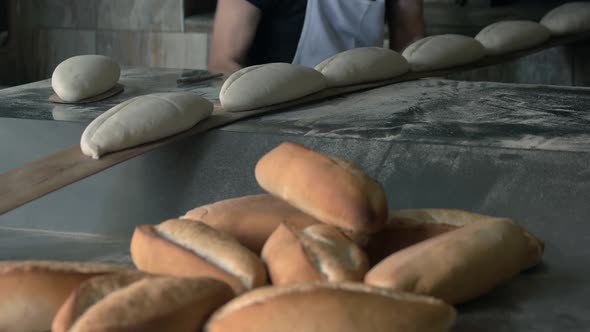 Loaves of Freshly Baked Bread on the Production Line in the Bakery