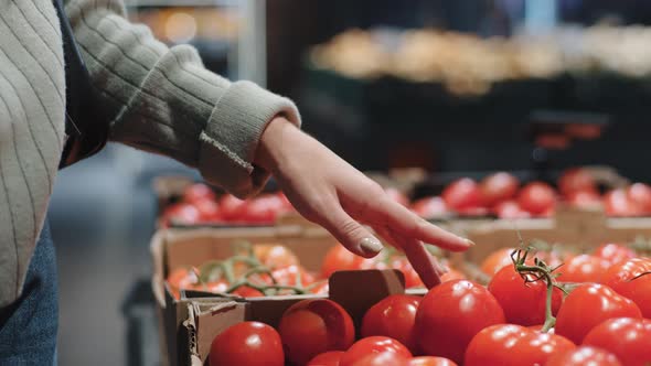 Closeup Female Hand Shopper Girl Choose Red Ripe Healthy Tomatoes in Store Near Counter