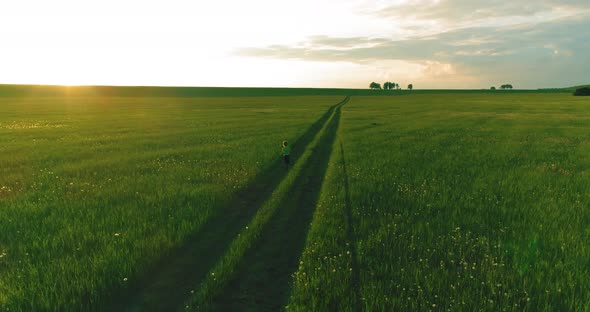 Sporty Child Runs Through a Green Wheat Field