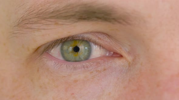 Close Up of Male Eye with Green Iris 21