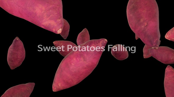 Sweet Potatoes Falling