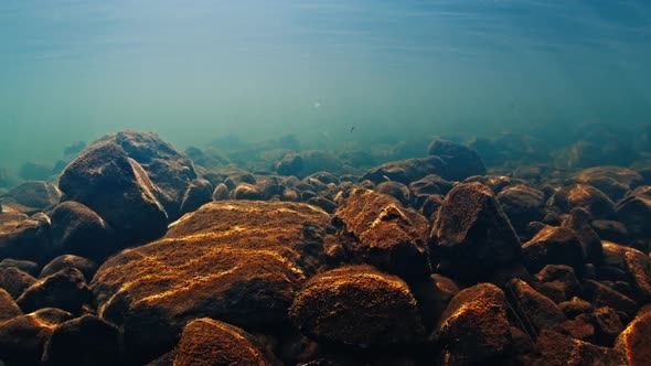 Underwater View of the Clean River with Rocky Bottom Flowing in Brazilian Mountains