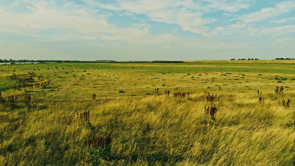 The floodplain area.