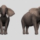 Elephant Drinking Pack (Pack of 4) - VideoHive Item for Sale