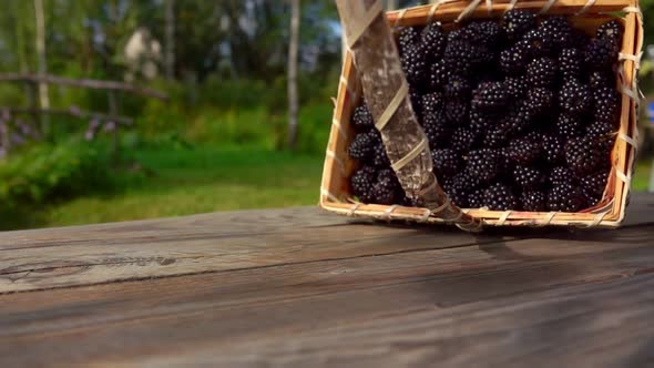 Basket with Ripe Blackberry Falls on a Wooden Table