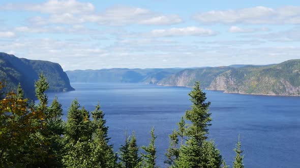 High Angle In The Trees Showing Large Body Of Water And Mountains In The Background 3