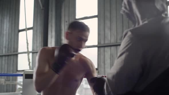 Portrait of Focused Strong Boxer 30s Wearing Sport Shorts and Gloves Training on Ring in Gym with